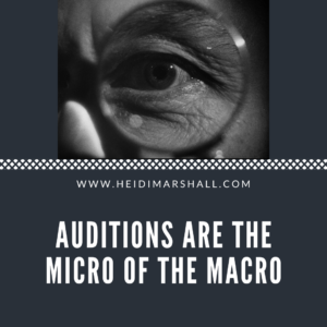 Auditions are the micro of the macro, audition advice